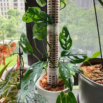 Выдолбленный дизайн Пластиковый шест из мха, палочки для растений в горшках, Удлинитель для дома